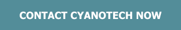 Contact Cyanotech Now